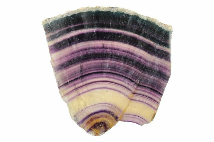 Colorful, Polished Rainbow Fluorite Slab #250495